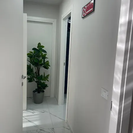 Bed and Breakfast Alma Νετούνο